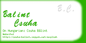 balint csuha business card